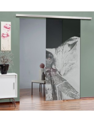 Glasschiebetür SLIM-LINE Dreaming Kitty Gelasert Auf Grauglas