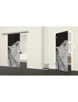 Glasschiebetür SLIM-LINE Dreaming Kitty Gelasert Auf Grauglas