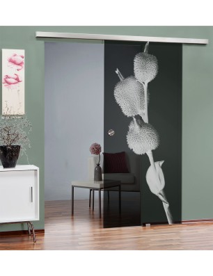 Glasschiebetür SLIM-LINE Pflanze Gelasert Auf Grauglas