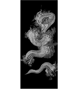 Glasschiebetür SLIM-LINE Dragon Gelasert Auf Grauglas