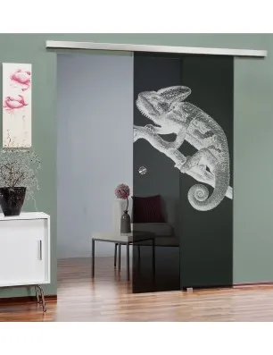 Glasschiebetür SLIM-LINE Camelion II Gelasert Auf Grauglas