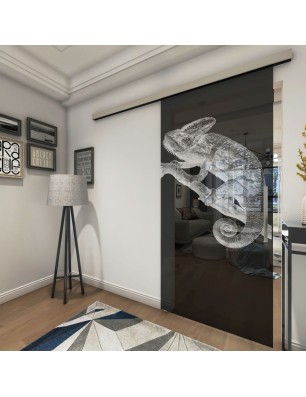 Glasschiebetür SLIM-LINE Camelion II Gelasert Auf Grauglas
