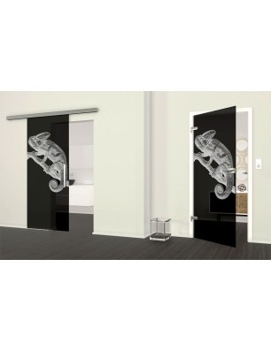 Glasschiebetür SLIM-LINE Camelion II Gelasert Auf Grauglas