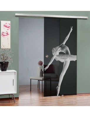 Glasschiebetür SLIM-LINE Balerina Gelasert Auf Grauglas