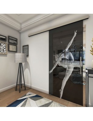 Glasschiebetür SLIM-LINE Balerina Gelasert Auf Grauglas