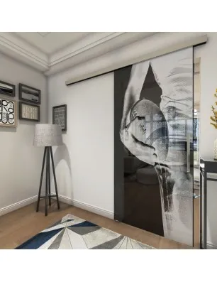 Glasschiebetür SLIM-LINE American Footbal Gelasert Auf Grauglas