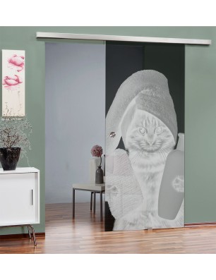 Glasschiebetür SLIM-LINE Ready Gelasert Auf Grauglas