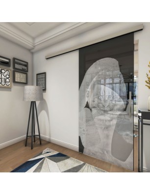 Glasschiebetür SLIM-LINE Ready Gelasert Auf Grauglas
