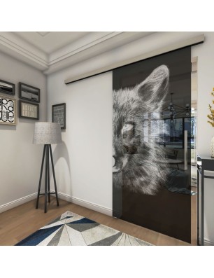 Glasschiebetür SLIM-LINE Wolf 4 Gelasert Auf Grauglas
