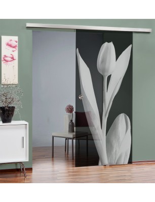 Glasschiebetür SLIM-LINE Tulpe Gelasert Auf Grauglas