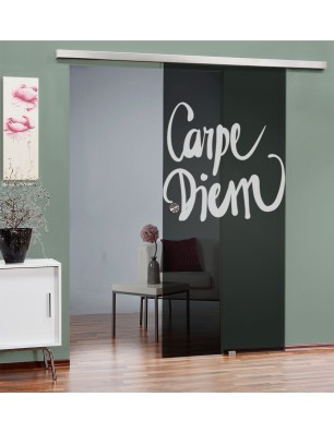 Glasschiebetür SLIM-LINE Carpe Diem Gelasert Auf Grauglas