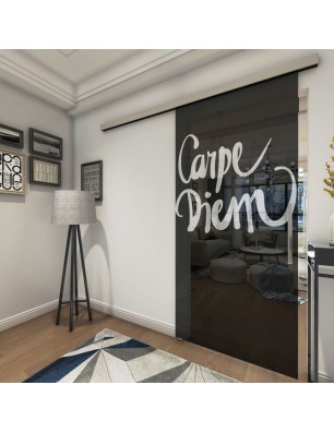 Glasschiebetür SLIM-LINE Carpe Diem Gelasert Auf Grauglas