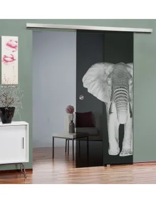 Glasschiebetür SLIM-LINE Elefant 2 Gelasert Auf Grauglas