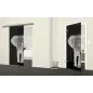 Glasschiebetür SLIM-LINE Elefant 2 Gelasert Auf Grauglas
