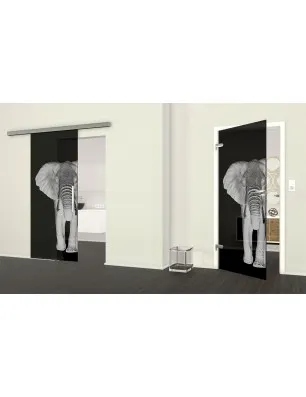 Glasschiebetür SLIM-LINE Elefant 2 Gelasert Auf Grauglas