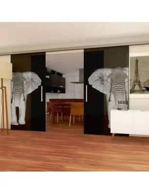 Glasschiebetür SLIM-LINE Elefant 2 Gelasert Auf Grauglas
