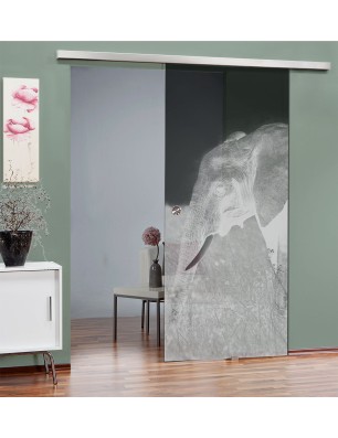 Glasschiebetür SLIM-LINE Elefant 3 Gelasert Auf Grauglas