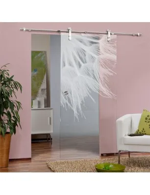 Glasschiebetür PIPE-LINE Pusteblume II Gelasert Auf Klarglas