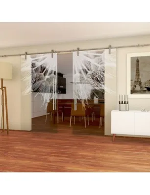 Glasschiebetür PIPE-LINE Pusteblume II Gelasert Auf Klarglas