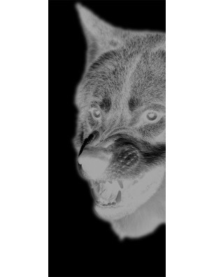 Glasschiebetür PIPE-LINE Wolf Gelasert Auf Klarglas