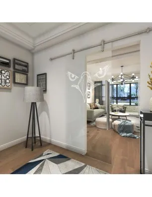 Glasschiebetür PIPE-LINE Eagle Eye Gelasert Auf Klarglas