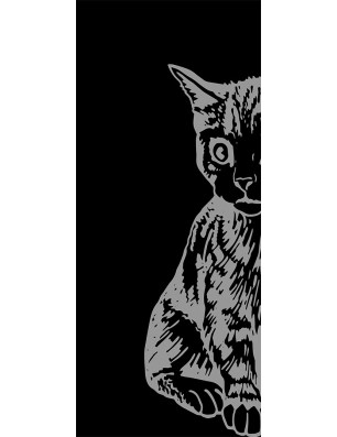 Glasschiebetür PIPE-LINE Katze Gelasert Auf Klarglas
