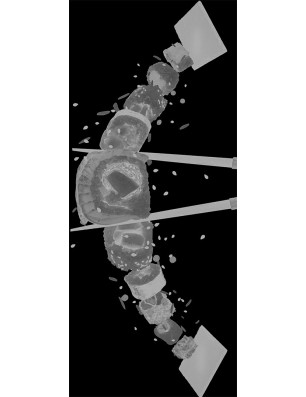 Glasschiebetür PIPE-LINE Sushi Gelasert Auf Klarglas
