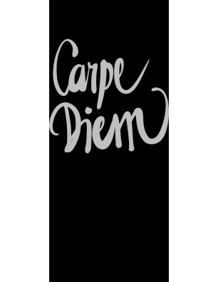 Glasschiebetür PIPE-LINE Carpe Diem Gelasert Auf Klarglas