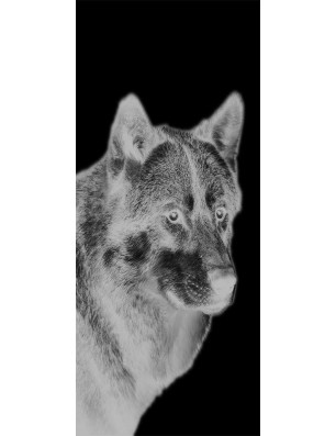 Glasschiebetür PIPE-LINE Wolf 5 Gelasert Auf Grauglas