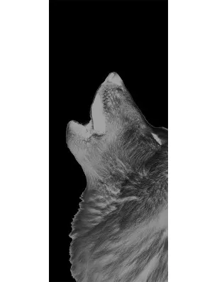 Glasschiebetür PIPE-LINE Wolf 2 Gelasert Auf Grauglas