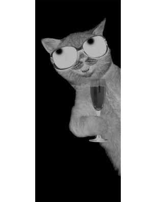 Glasschiebetür PIPE-LINE Drinking Cat Gelasert Auf Grauglas