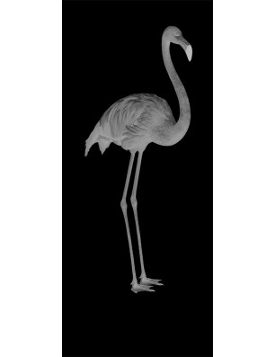 Glasschiebetür PIPE-LINE Flamingo Gelasert Auf Grauglas