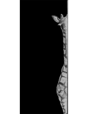Glasschiebetür PIPE-LINE Giraffe Gelasert Auf Grauglas