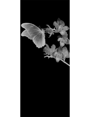 Glasschiebetür PIPE-LINE Butterfly Gelasert Auf Grauglas