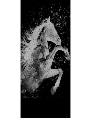 Glasschiebetür PIPE-LINE flying Horse Gelasert Auf Grauglas