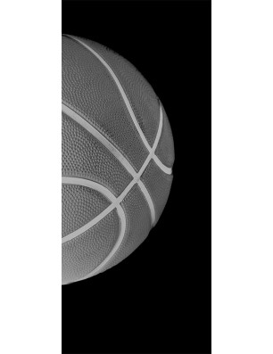 Glasschiebetür PIPE-LINE Basketball Gelasert Auf Grauglas