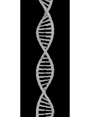 Glasschiebetür PIPE-LINE "DNA" Gelasert Auf Grauglas