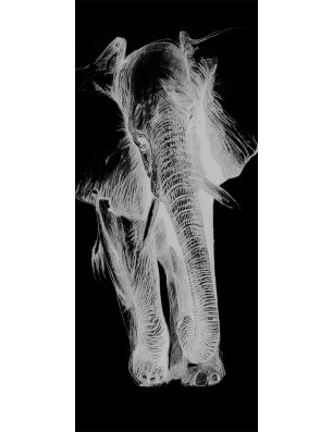 Glasschiebetür PIPE-LINE Elefant Gelasert Auf Grauglas
