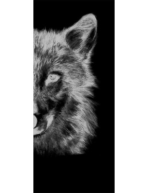 Glasschiebetür PIPE-LINE Wolf 4 Gelasert Auf Grauglas