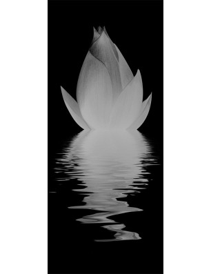 Glasschiebetür PIPE-LINE Lotus Gelasert Auf Grauglas