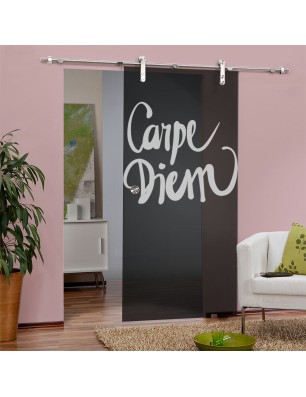 Glasschiebetür PIPE-LINE Carpe Diem Gelasert Auf Grauglas