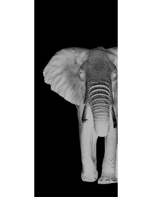 Glasschiebetür PIPE-LINE Elefant 2 Gelasert Auf Grauglas
