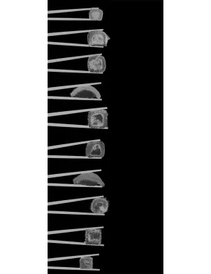 Lichtausschnitt Sushi II Gelasert Auf Klarglas