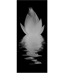 Lichtausschnitt Lotus Gelasert Auf Klarglas