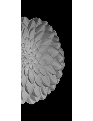 Lichtausschnitt Blume 8 Gelasert Auf Klarglas