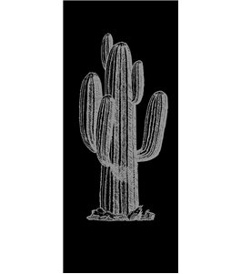 Lichtausschnitt Kaktus Gelasert Auf Grauglas