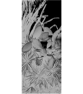 Lichtausschnitt Kaktusblüten Gelasert Auf Grauglas