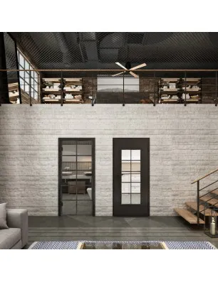 Ganzglastür Loft Schwarzeisen Genietet 05 Auf Klarglas