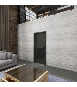 Ganzglastür Loft Schwarzlack 01 Auf Grauglas