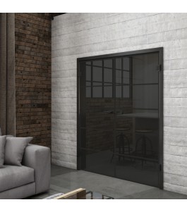 Ganzglastür Loft Schwarzlack 01 Auf Grauglas